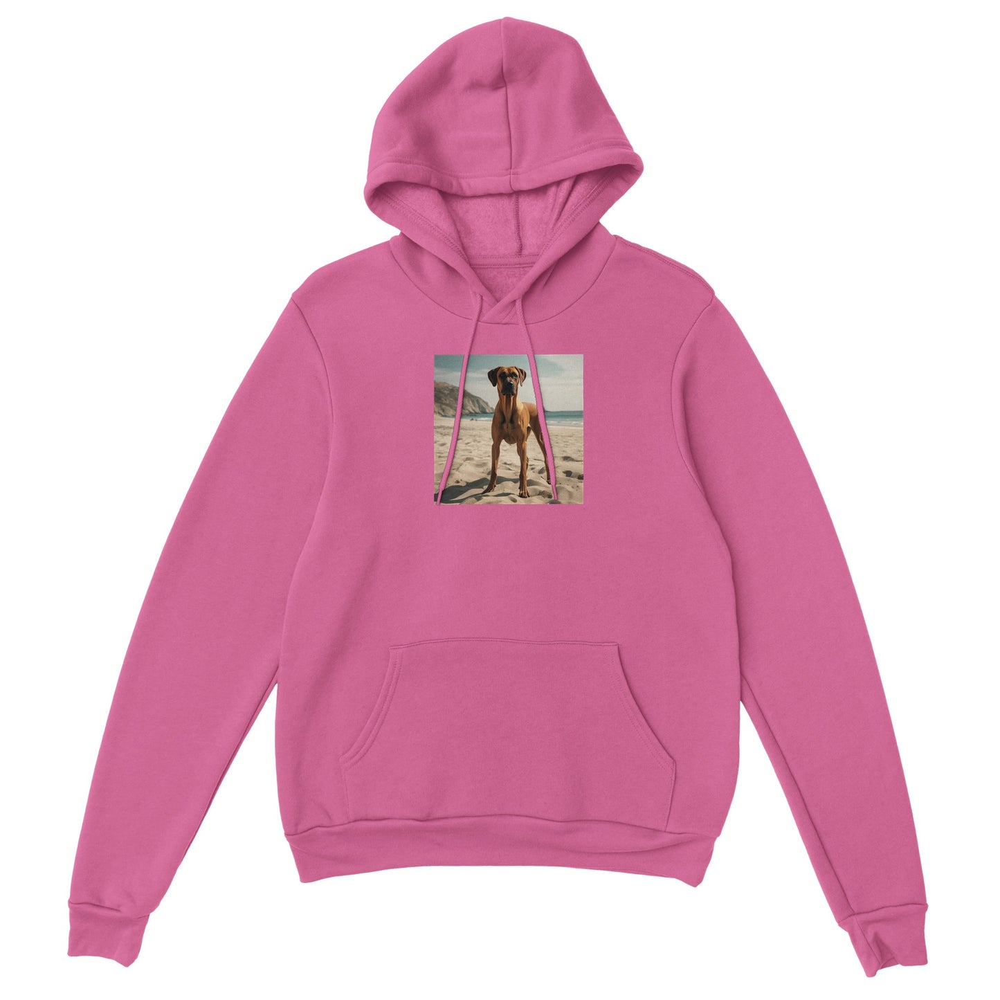 RR Sandy Beach Classic Unisex Pullover Hoodie Collection