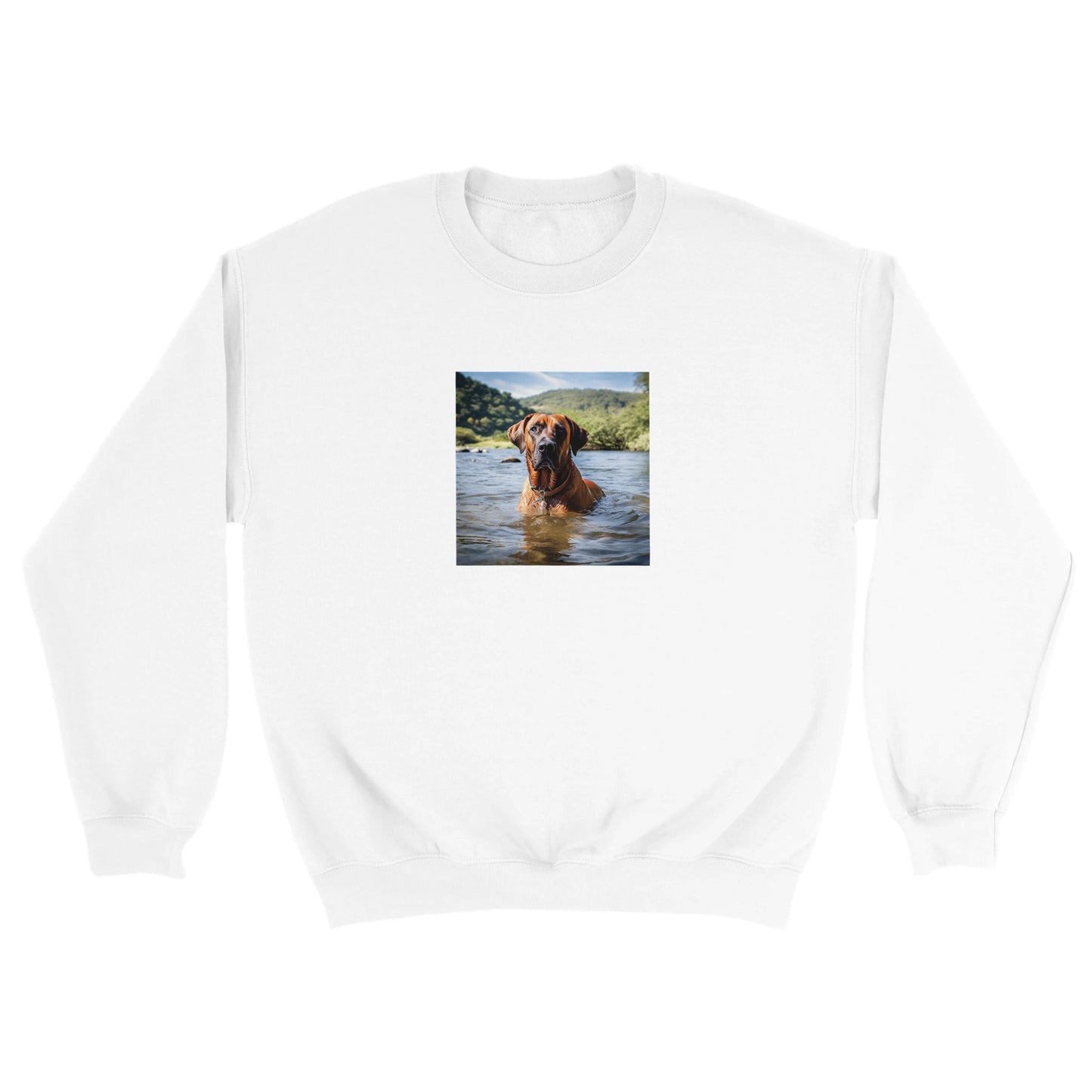 RR Swim Classic Unisex Crewneck Sweatshirt Collection