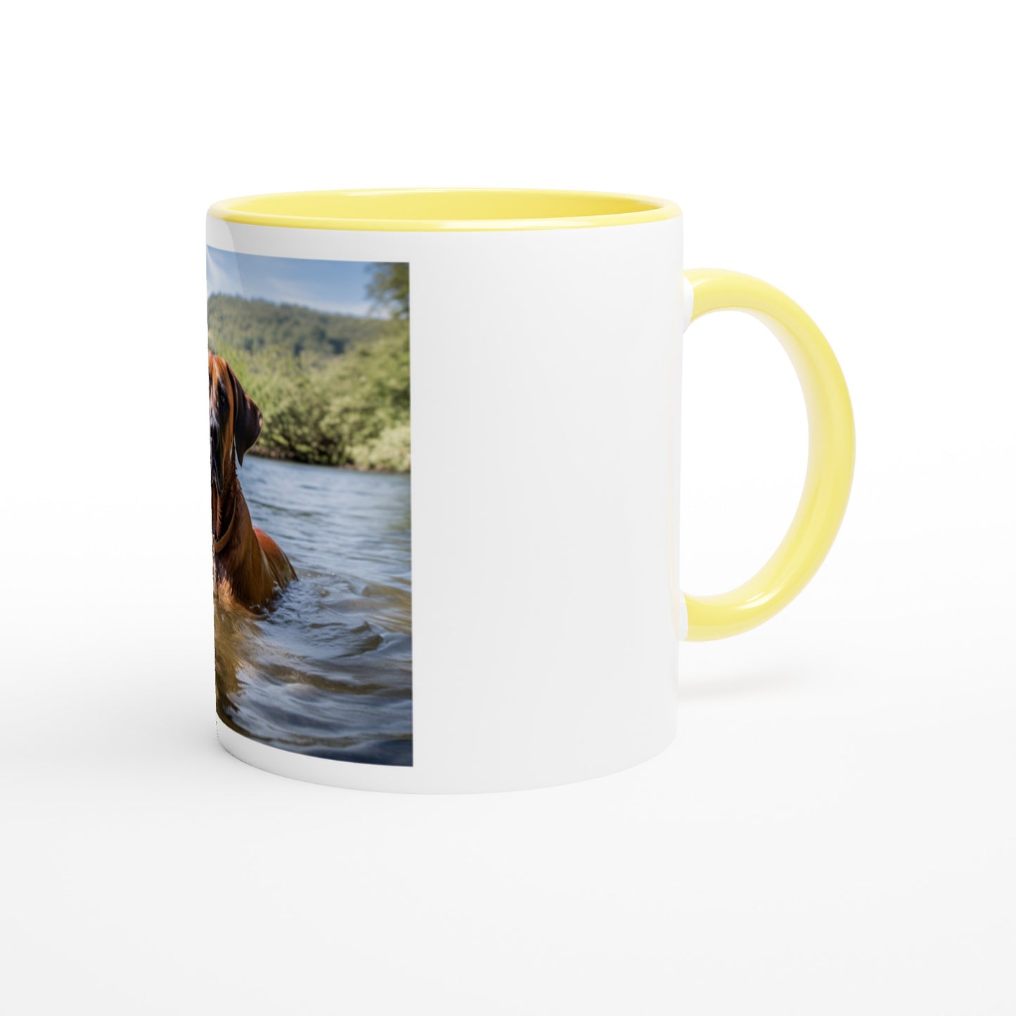 RR Swim White Mug with Color Inside Collection