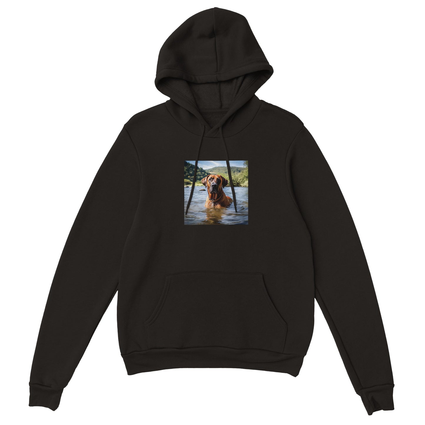 RR Swim Classic Unisex Pullover Hoodie Collection