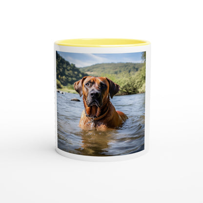 RR Swim White Mug with Color Inside Collection