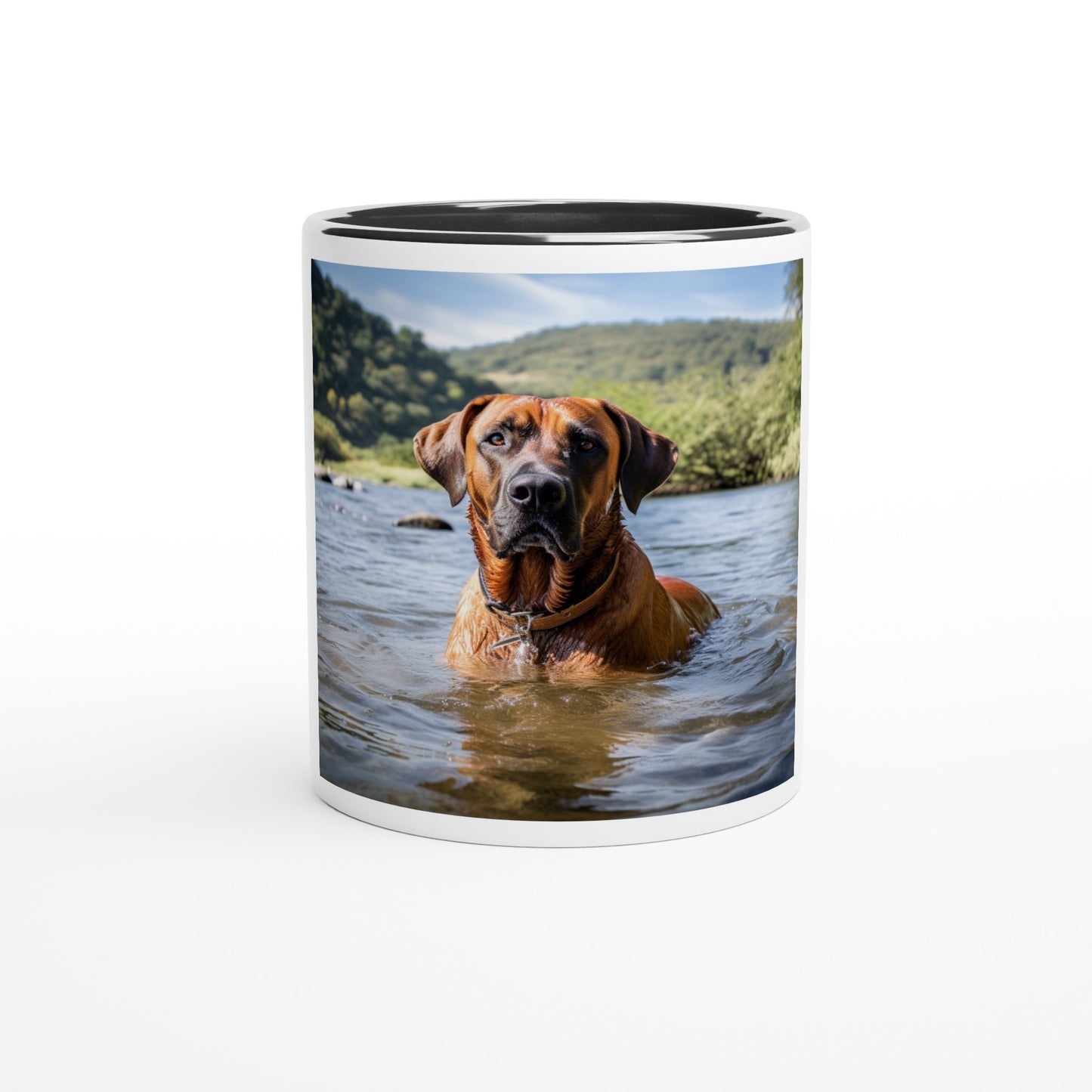 RR Swim White Mug with Color Inside Collection