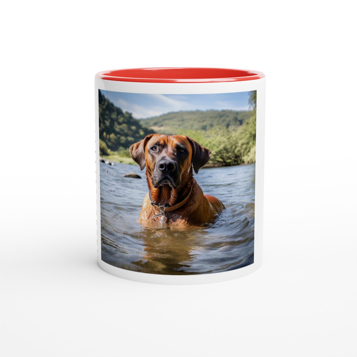 RR Swim White Mug with Color Inside Collection