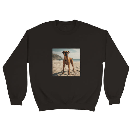 RR Sandy Beach Classic Unisex Crewneck Sweatshirt Collection