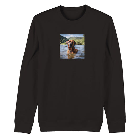 RR Swim Organic Unisex Crewneck Sweatshirt Collection