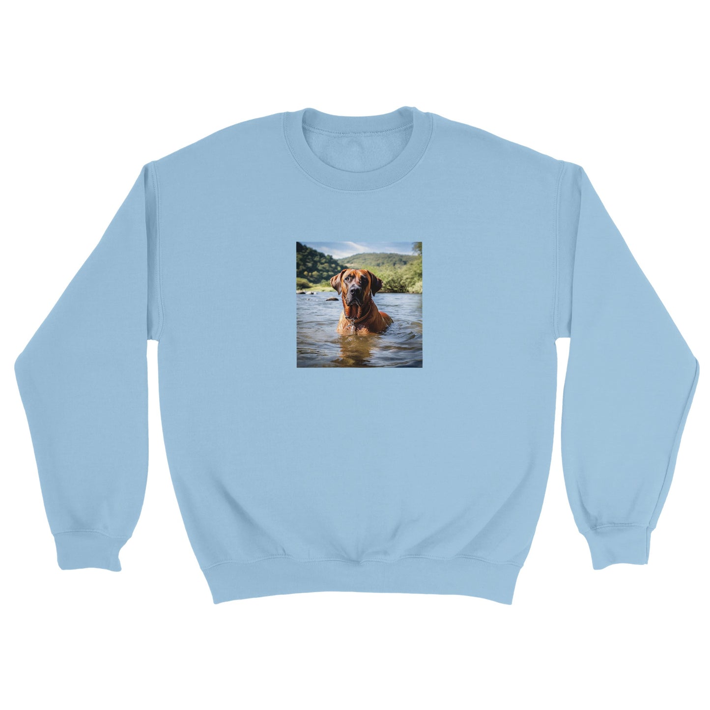 RR Swim Classic Unisex Crewneck Sweatshirt Collection