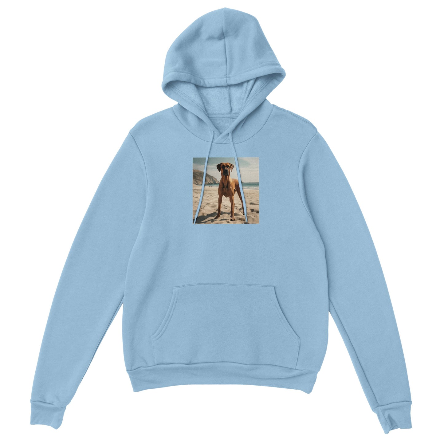 RR Sandy Beach Classic Unisex Pullover Hoodie Collection