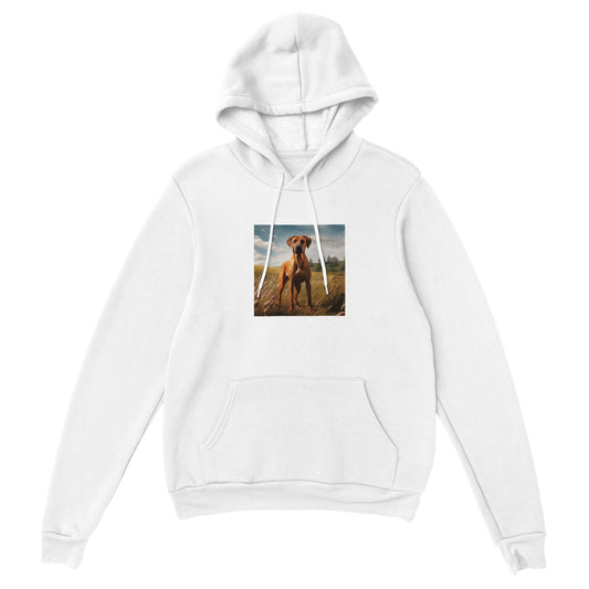 RR Prairie Classic Pullover Hoodie Collection