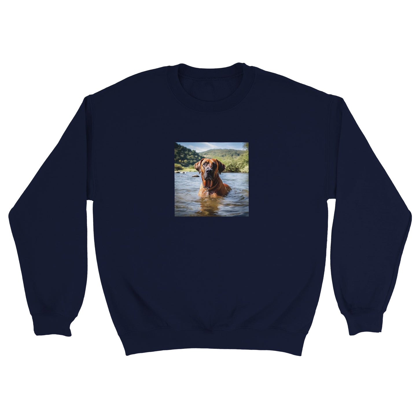 RR Swim Classic Unisex Crewneck Sweatshirt Collection