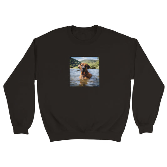 RR Swim Classic Unisex Crewneck Sweatshirt Collection